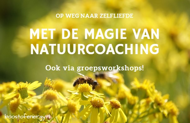 Onderweg naar zelfliefde via coaching in de natuur.