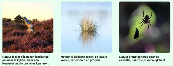 quotes en fotoos natuur